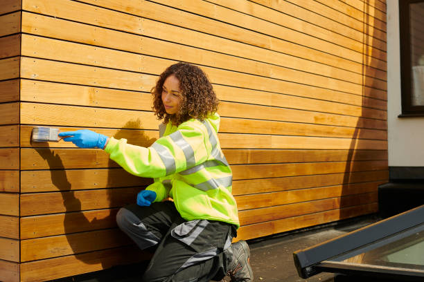 Best Stucco Siding  in Colfax, WI